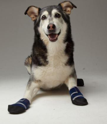 Wound Dog Boots with Gauze Pads - Set of 2 - Keep Doggie Safe