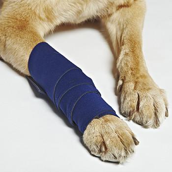 HEALERS Medical Leg Wraps with Gauze Pads - Keep Doggie Safe