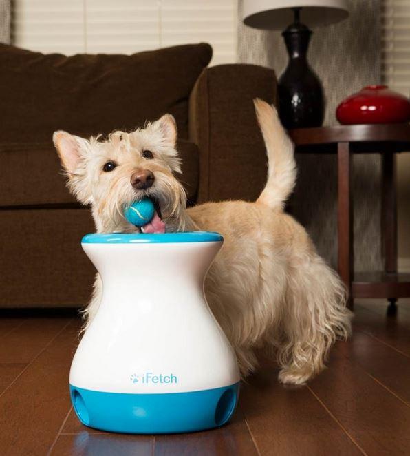 Ifetch frenzy sale