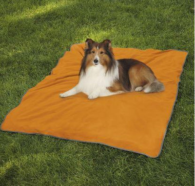 Insect Shield Dog Blanket - Keep Doggie Safe