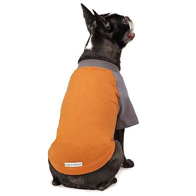 Insect Shield Dog T-Shirt - Keep Doggie Safe