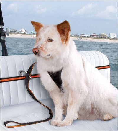 Kurgo Dog Auto Zip Line Seat Belt - Keep Doggie Safe