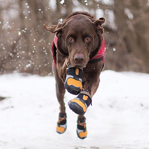 Kurgo LED Dog Boots - Keep Doggie Safe