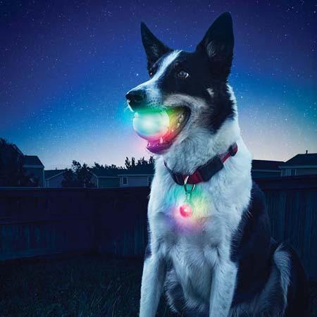 Lighted LED Dog Ball - GlowStreak - Keep Doggie Safe