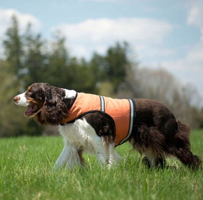 Insect Shield Dog Reflective Vests
