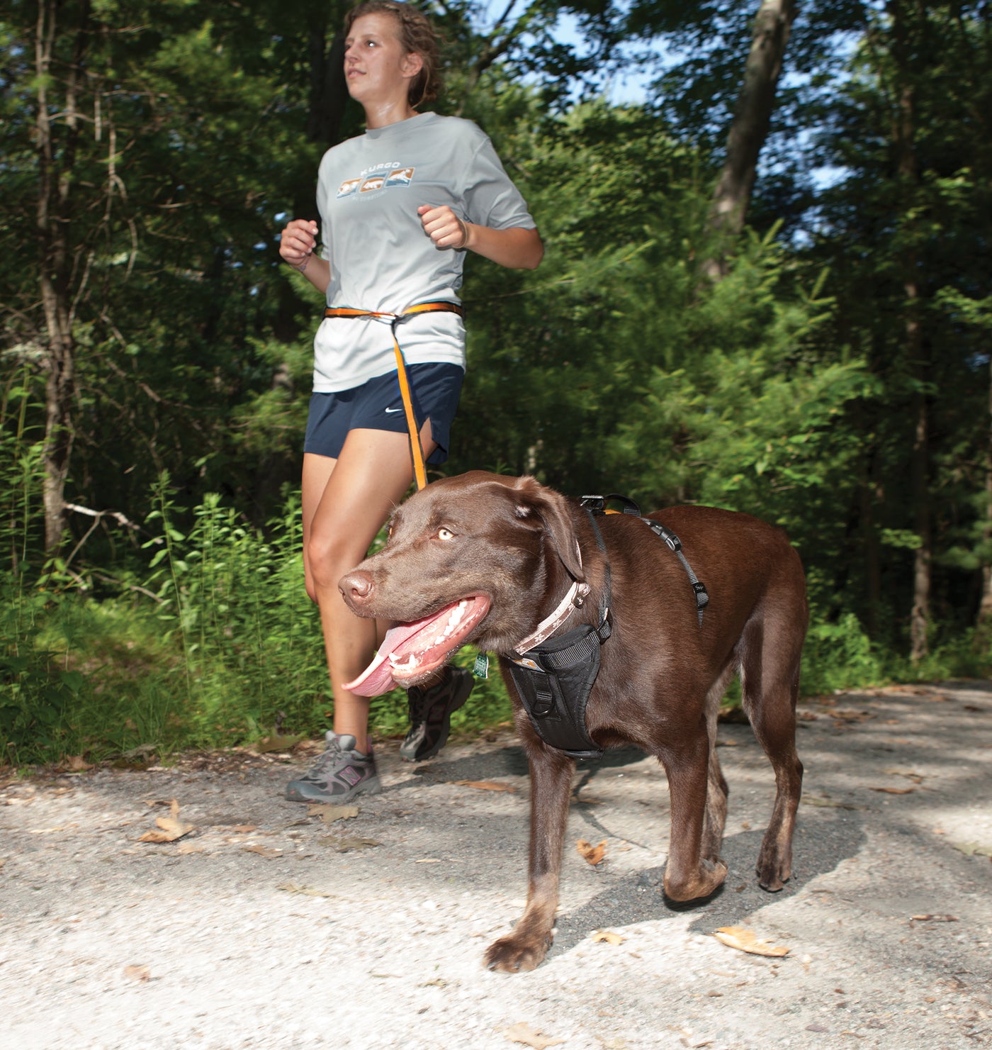 Kurgo Reflect and Protect Multi Purpose Quantum Dog Leash
