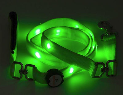 Nitebeam LED Lighted Dog Leash - Keep Doggie Safe
