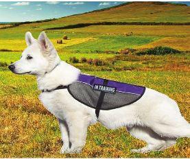 Mesh Service Dog Vest - Keep Doggie Safe