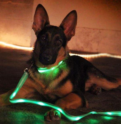 Nitebeam LED Lighted Dog Leash -Rechargeable - Keep Doggie Safe