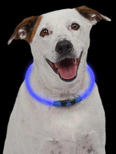 Nitehowl Dog LED Necklace - Keep Doggie Safe
