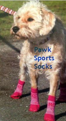 Pawks Anti-Slip Dog Socks - Keep Doggie Safe