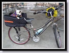 Pet Rider Bicycle Seat Lookout - Keep Doggie Safe