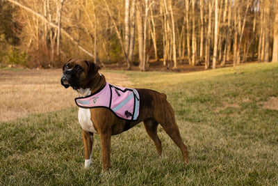 PooBoss Reflective Dog Vest