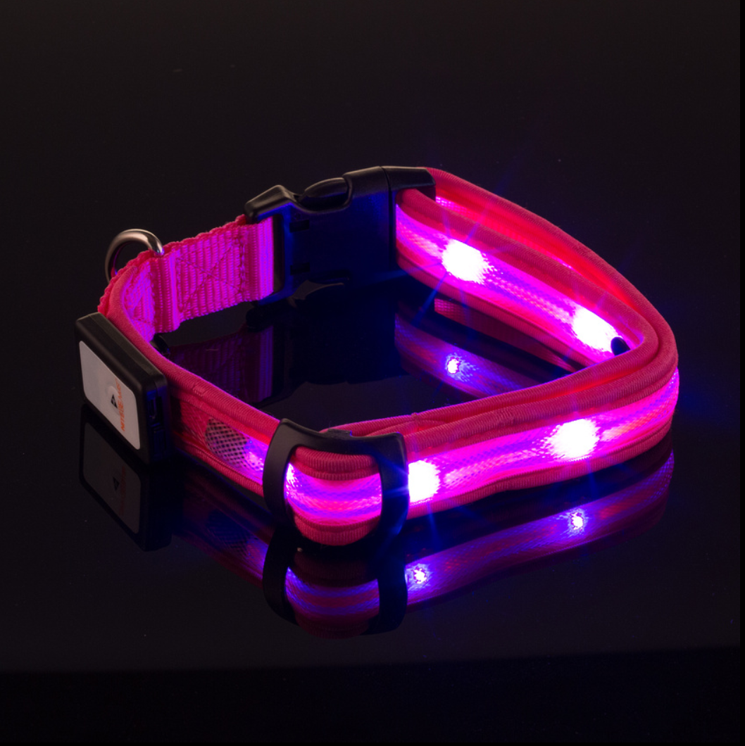 Nite Beams LED Lighted Dog Collar