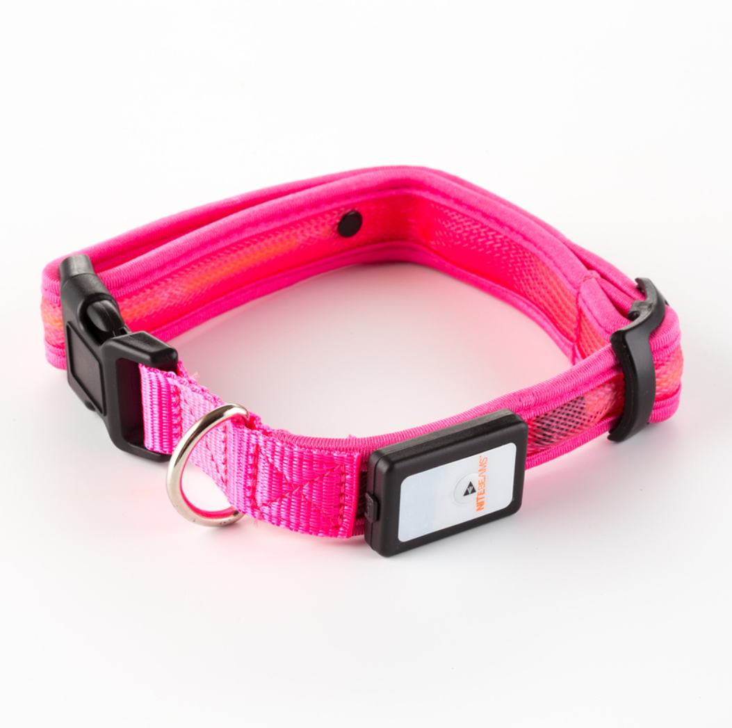 Nite beams dog sales collar
