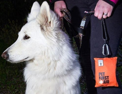Portable Pet First Aid Kit - Keep Doggie Safe