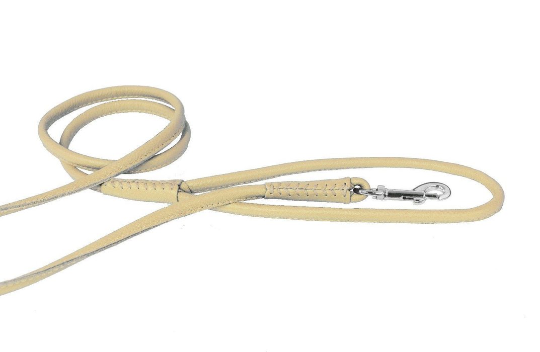 Round dog leash cheap