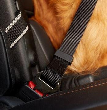 Alcott Dog Car Safety Belt
