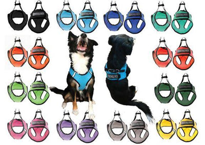 Dogline Boston Soft Mesh Service Dog Harness + Built-In Hook & Loop Fastener