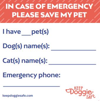 Pet Rescue Emergency Window Cling Note | KeepDoggieSafe.com – Keep ...