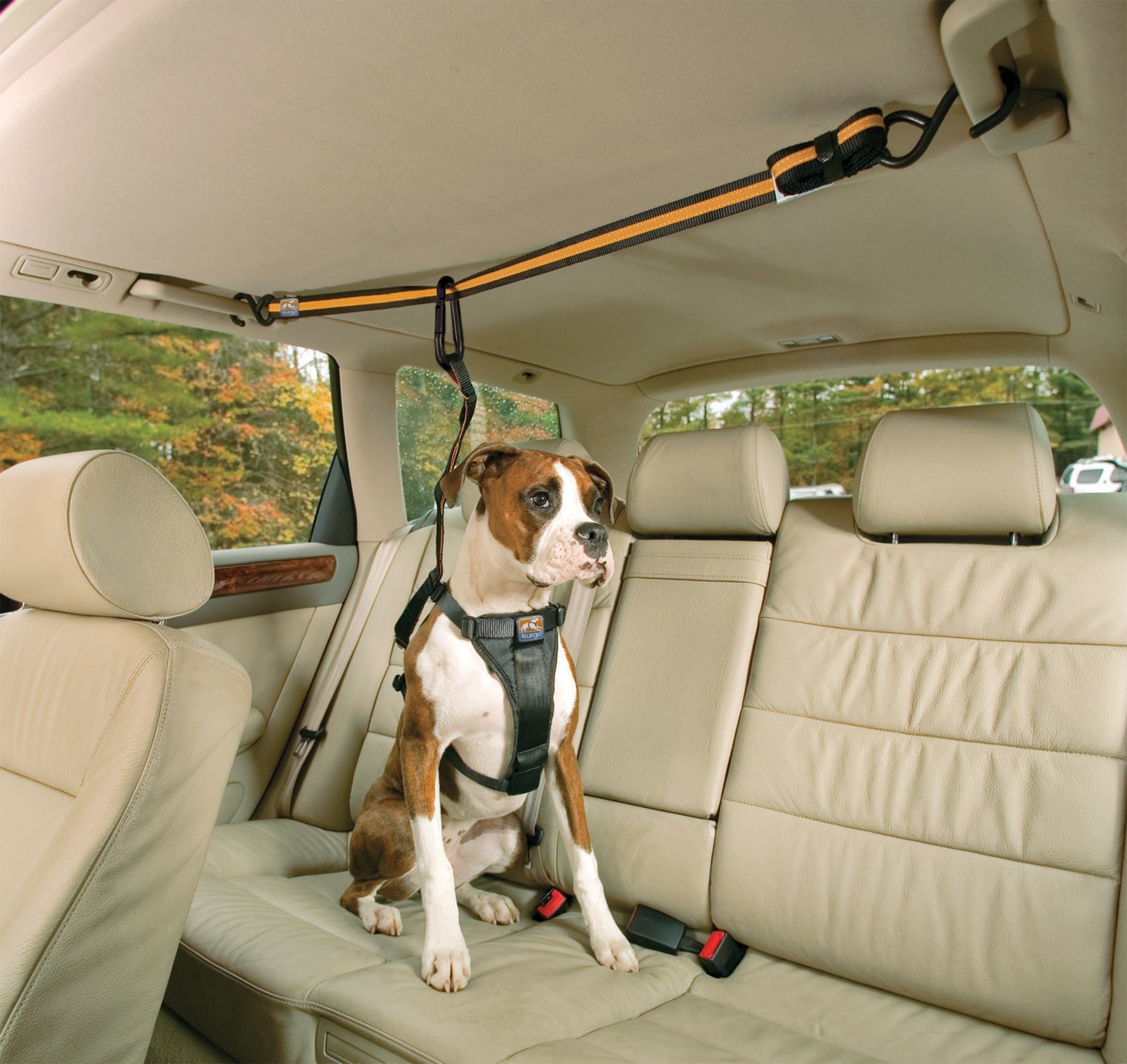 Kurgo Dog Auto Zip Line with Tether Leash Keep